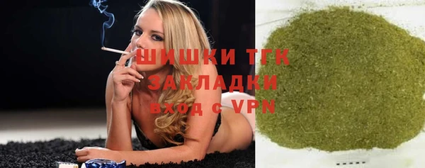 стафф Заполярный