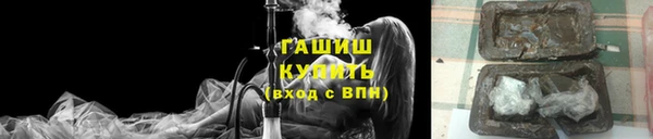 молекула духа Осташков