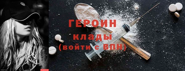 гашик Няндома