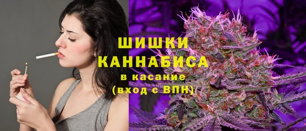 гашик Няндома