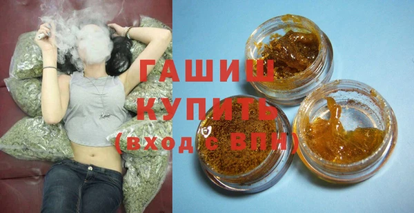 молекула духа Осташков