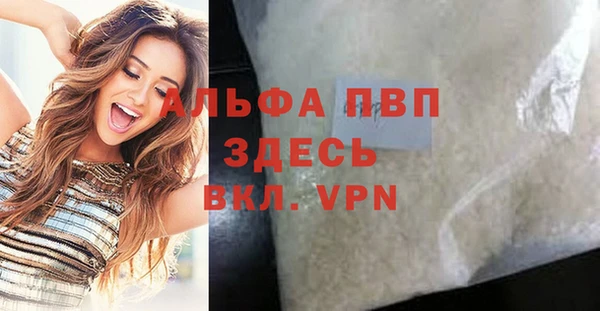 молекула духа Осташков