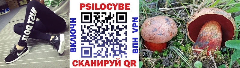 Псилоцибиновые грибы ЛСД  нарко площадка официальный сайт  Киреевск 