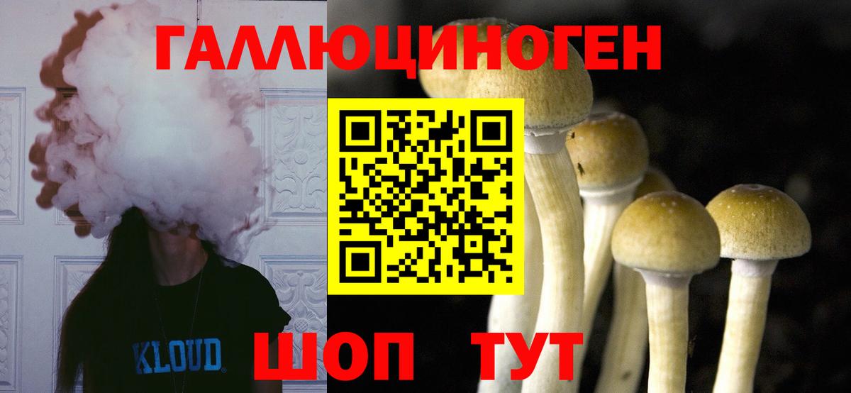 Галлюциногенные грибы Psilocybe Киреевск