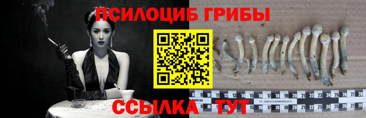 что такое наркотик  Вход с VPN  Псилоцибиновые грибы MAGIC MUSHROOMS  Киреевск  Псилоцибиновые грибы Cubensis 